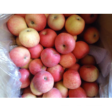 2015 Fresh Gala Apple De Shandong Boren